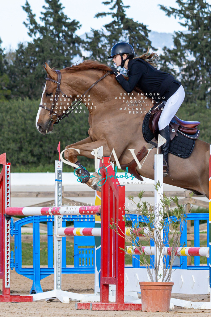 IMG_7946 | s-jay-photography - Realisiert mit Pictrs.com