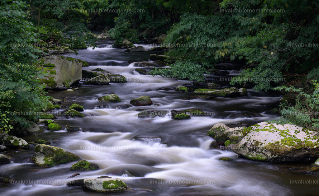 DSC_1282 | invaluablemoments.com - Realisiert mit Pictrs.com