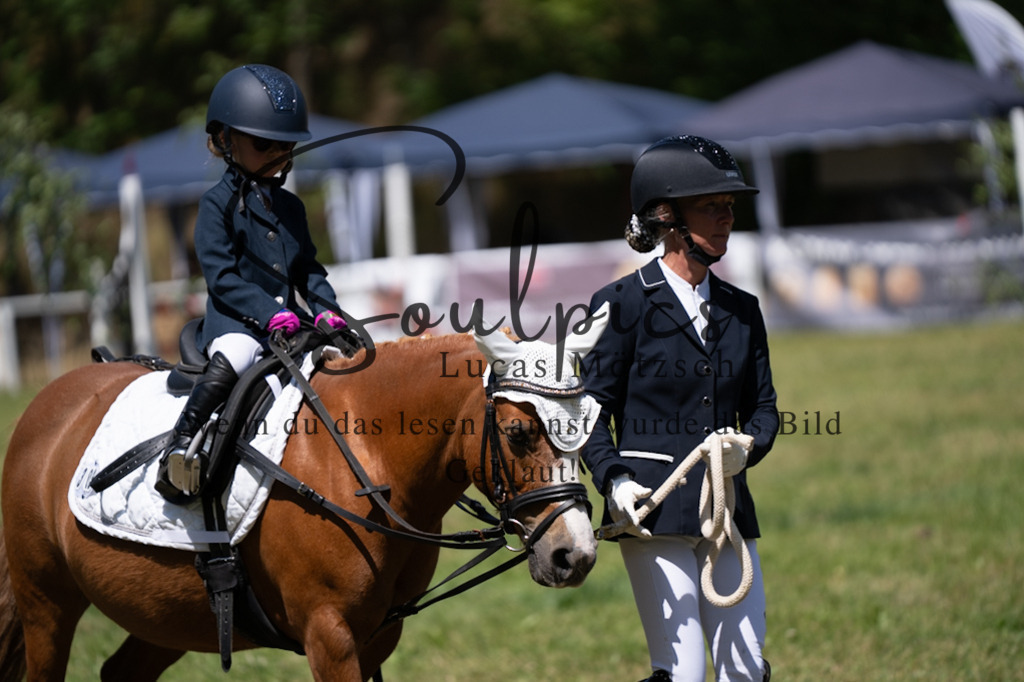 A7V06253 | Pferdefotograf