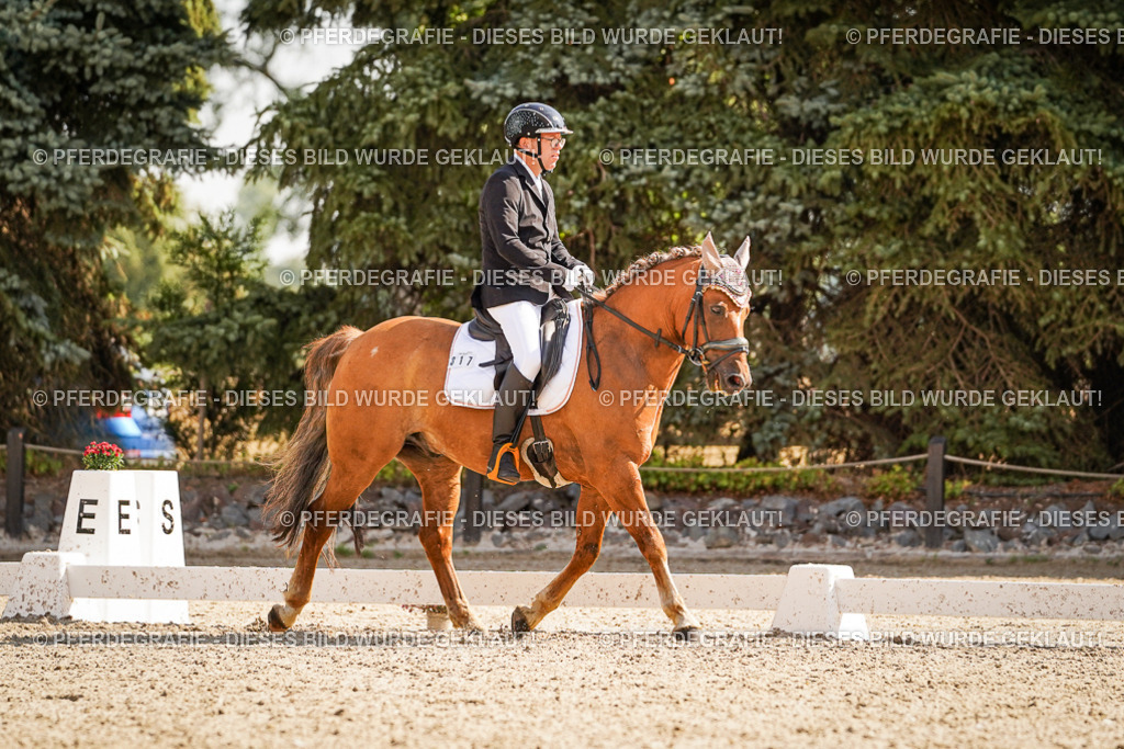 DSC00767 | Pferdegrafie