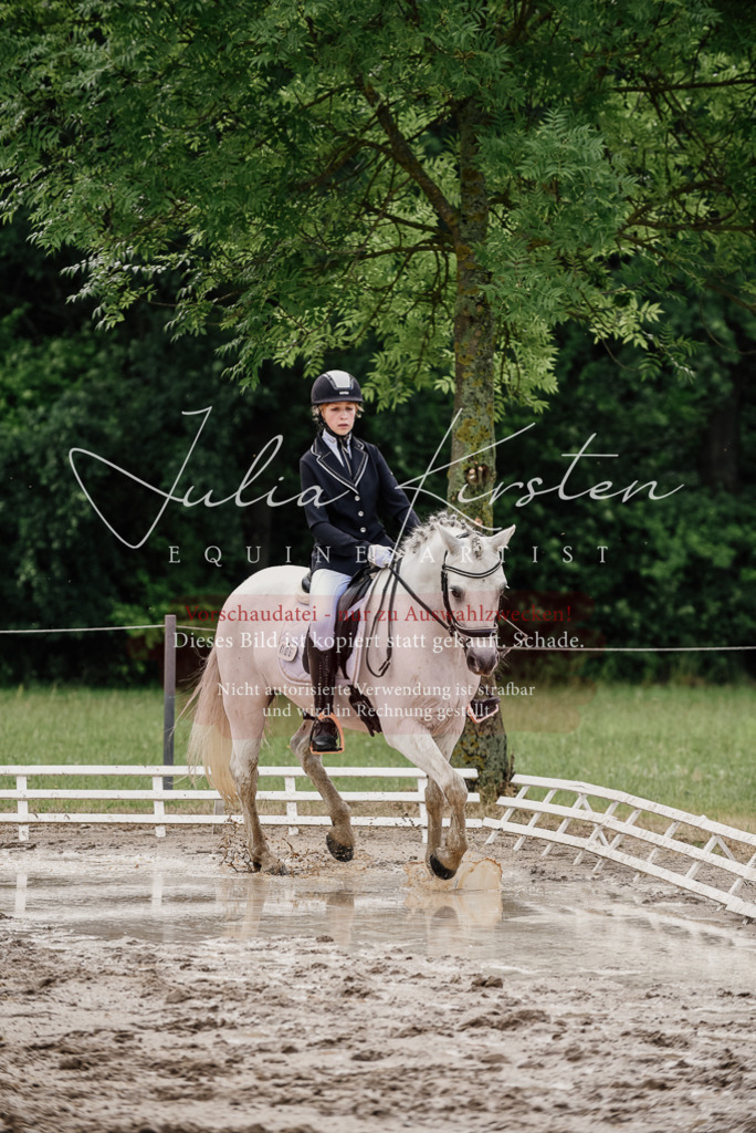 DSC_9417 | Pferde- und Turnierfotografie in Westsachsen. Pferdeportraits, Auftragszeichnungen und intuitive Kunst.