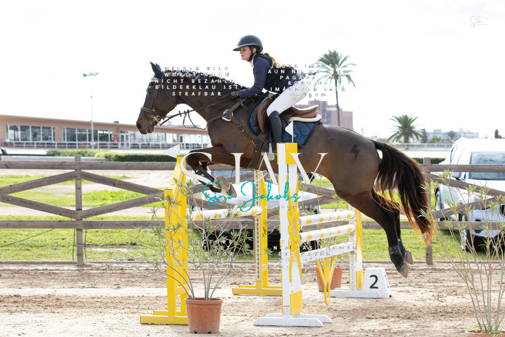 IMG_3381 | s-jay-photography - Realisiert mit Pictrs.com