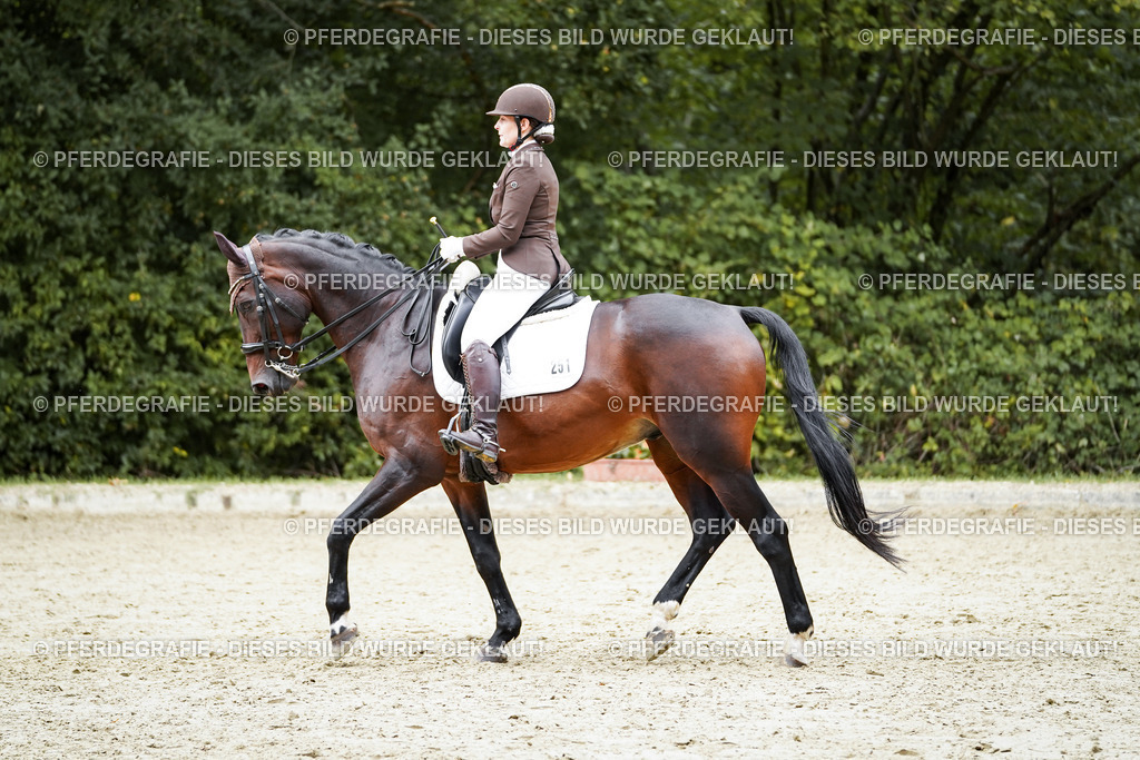 DSC00959 | Pferdegrafie