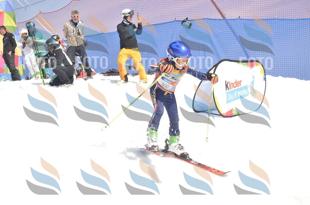 _ELE9388 | holidayphoto