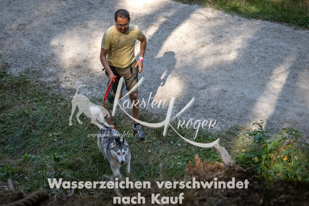 1105_ZZ94371 | kk-dogfotos