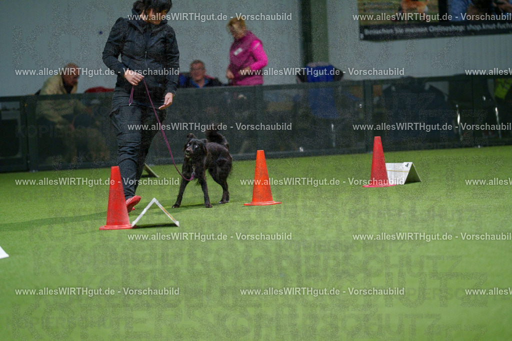 7R505777 | Professionelle Tierfotografie in Mönchengladbach von Daniel Wirth (allesWIRTHgut). Liebevolle & natürliche Bilder von Hunden & Katzen für unvergessliche Erinnerungen.