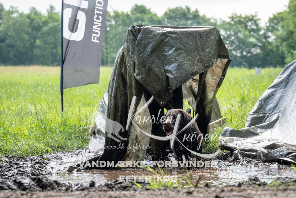 0924_ZZ90773 | kk-dogfotos