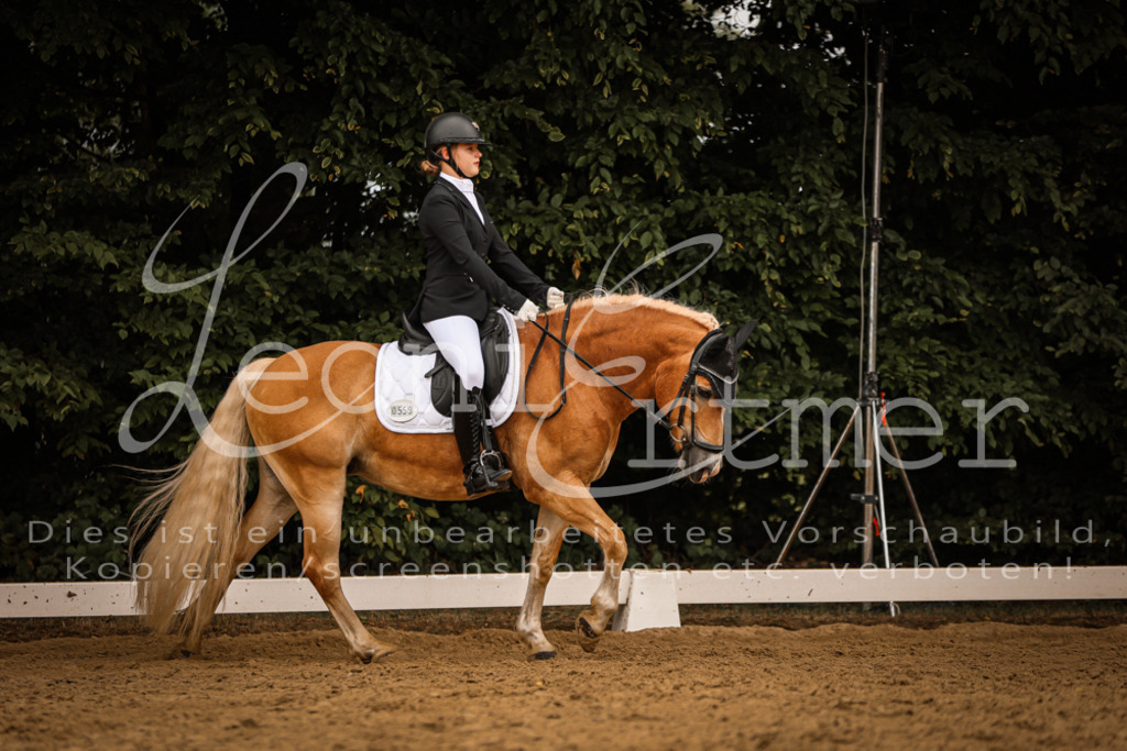 DoDrE00157 | Leoni Ertmer Photography - Realisiert mit Pictrs.com