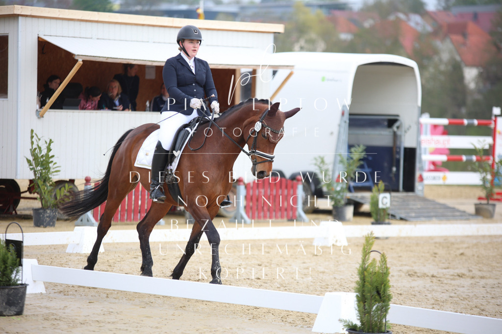 IMGT5262 | pl-fotografie