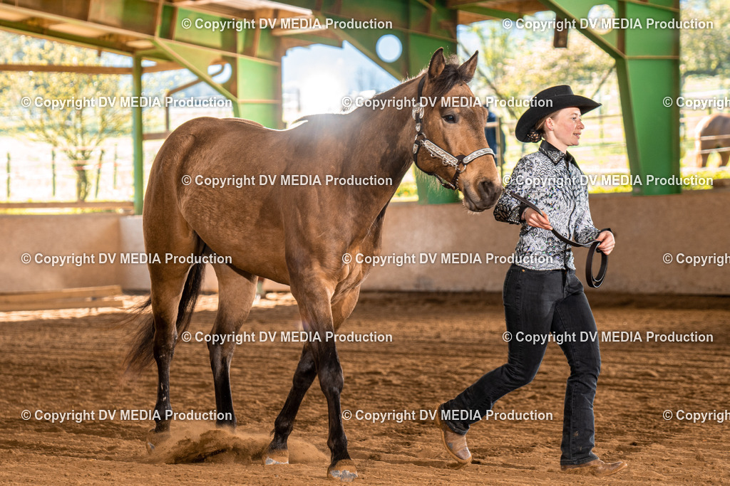 Balingen Tag 1-83 | dv-media-shop - Realisiert mit Pictrs.com