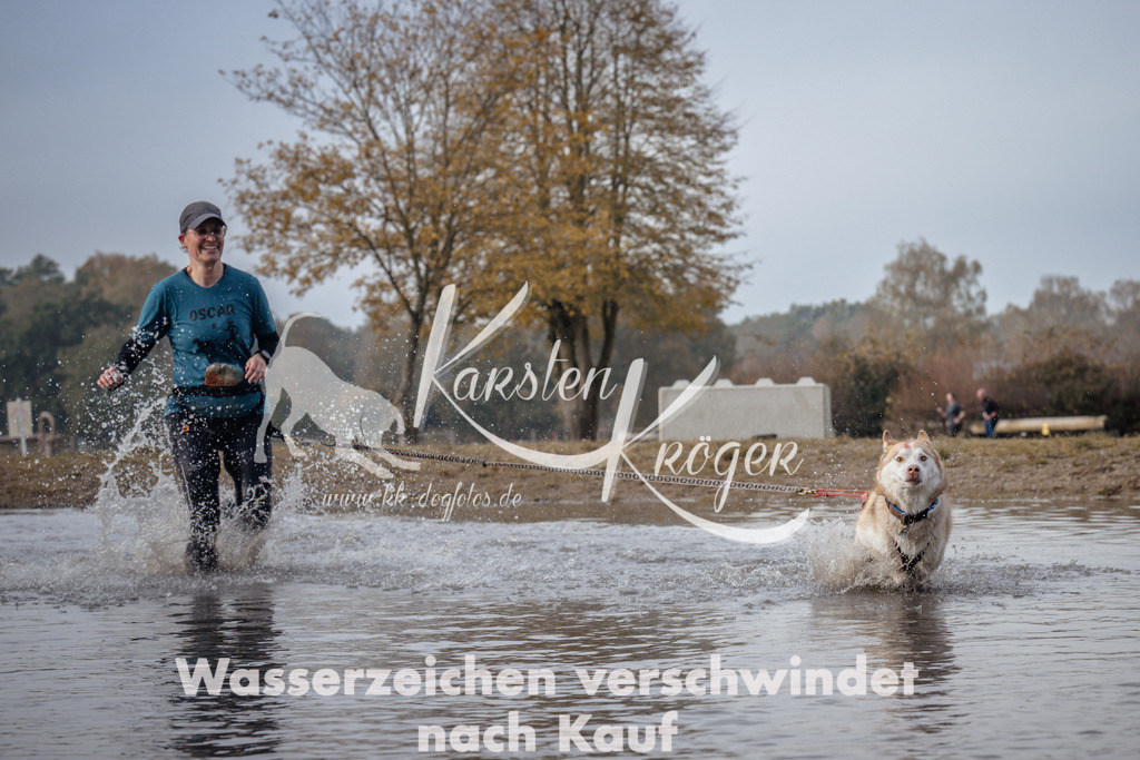 1122_ZZ94208 | kk-dogfotos