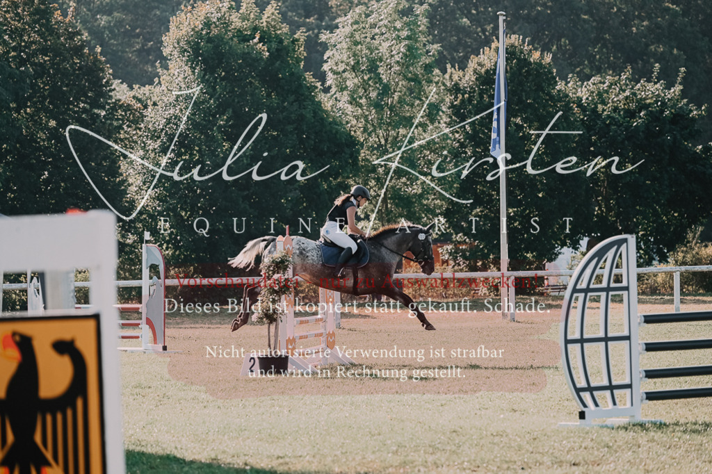 DSC_4484 | Pferde- und Turnierfotografie in Westsachsen. Pferdeportraits, Auftragszeichnungen und intuitive Kunst.