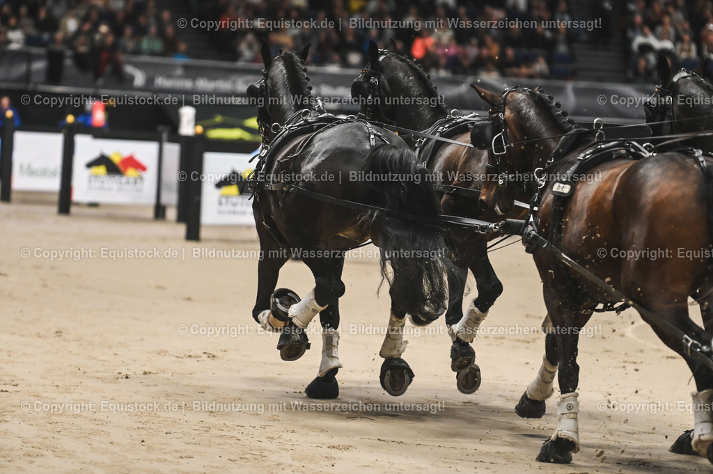 20241116_Fahren-Masterhorse_TOMsPiC_0012 | Foto: Thomas Hartig