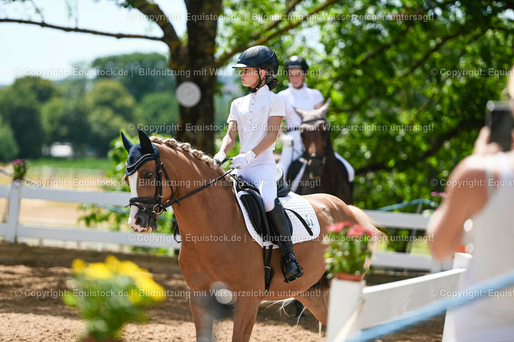 20230715_09_Dressur-WB_0262 | equistock