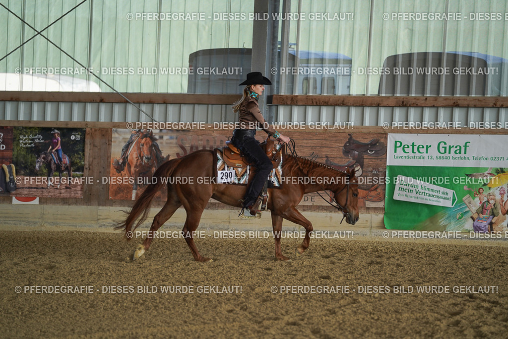 DSC08742 | Pferdegrafie