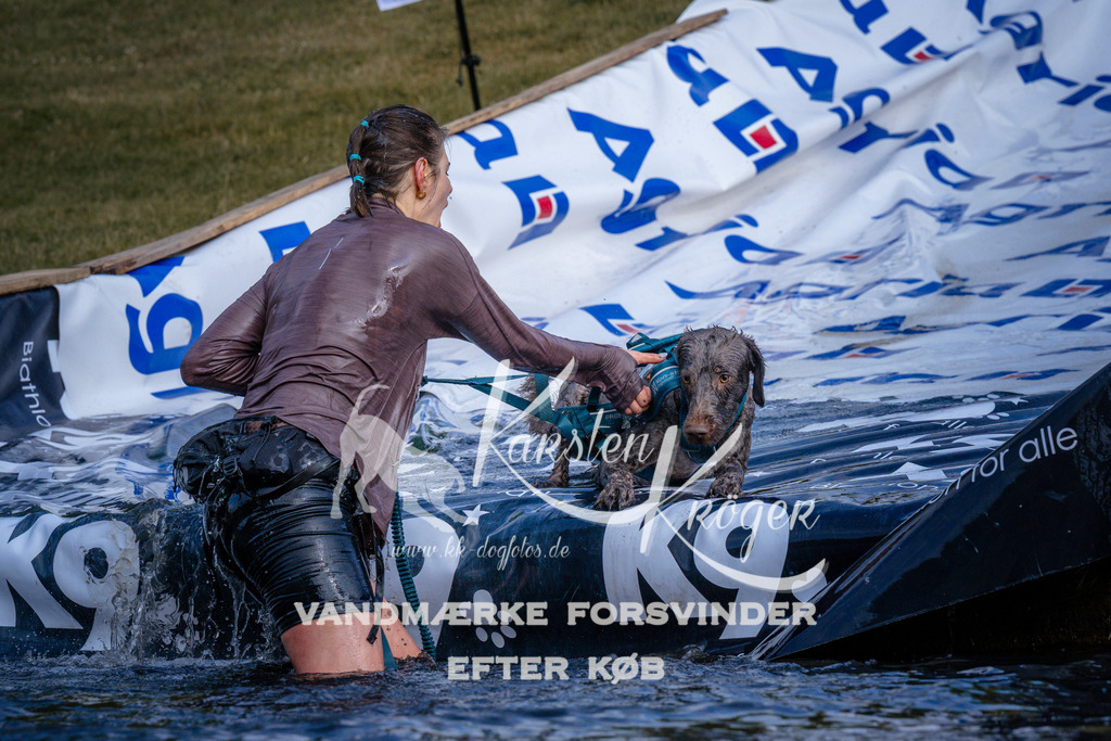 _ZZ968850738 | kk-dogfotos