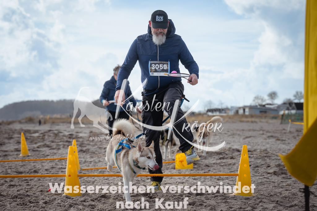 1308_ZZ90501 | kk-dogfotos