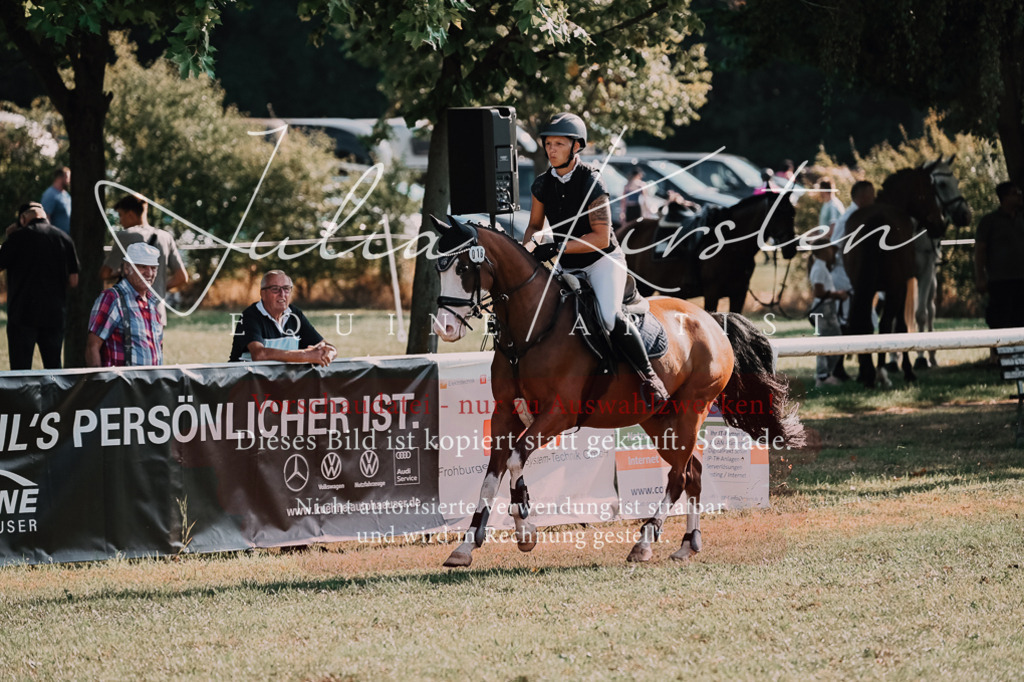DSC_4736 | Pferde- und Turnierfotografie in Westsachsen. Pferdeportraits, Auftragszeichnungen und intuitive Kunst.