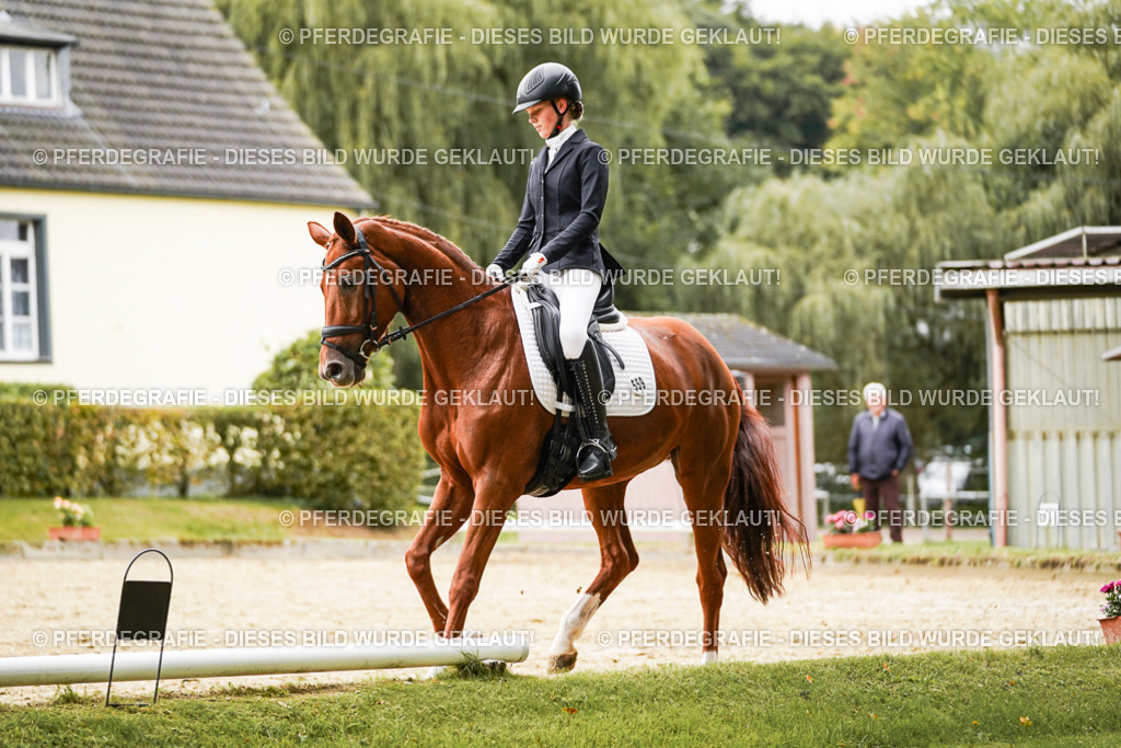 DSC07566 | Pferdegrafie