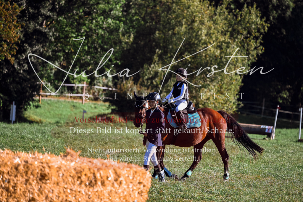 DSC_0262 | Pferde- und Turnierfotografie in Westsachsen. Pferdeportraits, Auftragszeichnungen und intuitive Kunst.