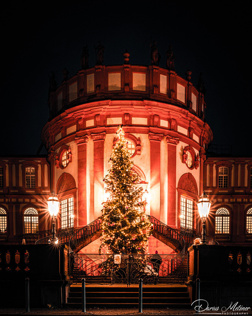 _DSC6799 3 | Fotografien, Fotos und Bilder aus Mainz, Frankfurt, Wiesbaden und anderen Orten auf der Welt - Fotografiert von Darius Metzner