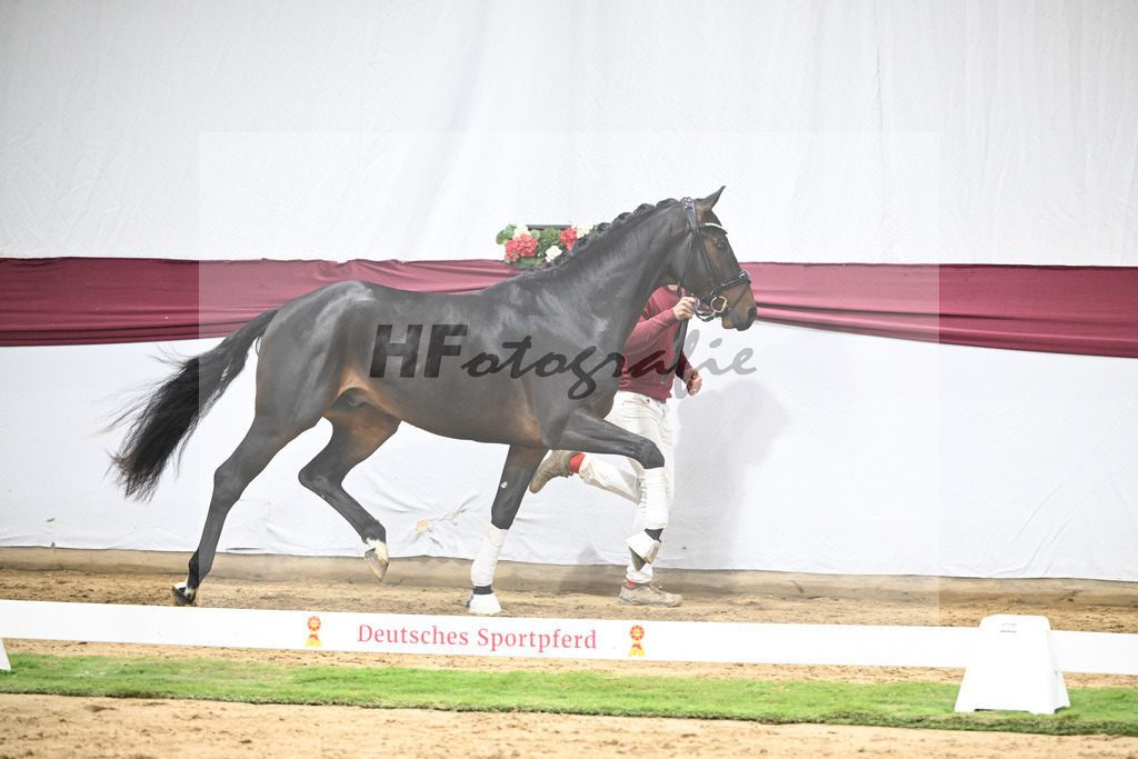 Kat-Nr. 46 Zenetti x Ritz Carlton_Udo Kast_47251626 | hf-fotografie - Realisiert mit Pictrs.com