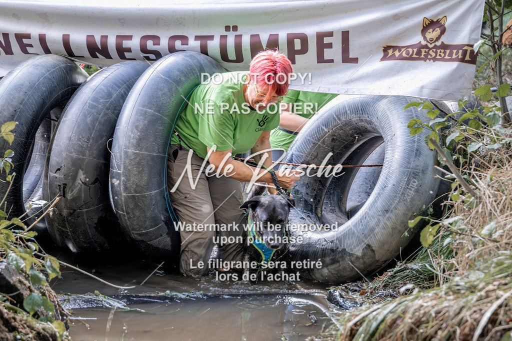 nelerasche_Hunsrück2026_Sa1400-1500_52 | nelerasche