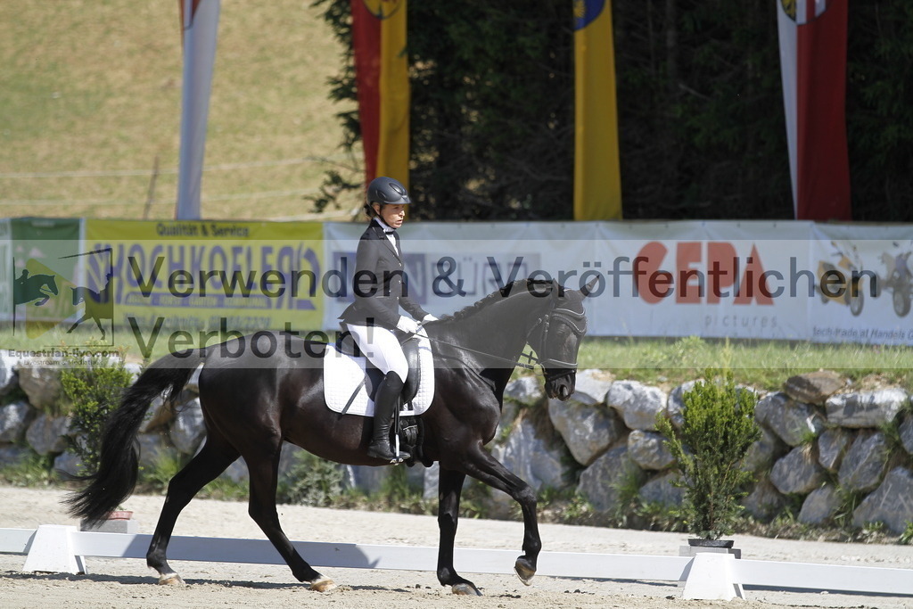 _MG_6693 | equestrian-live-com