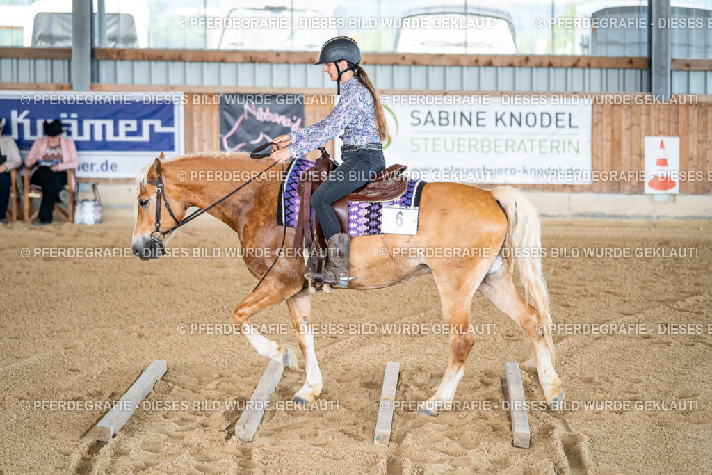 DSC02469 | Pferdegrafie