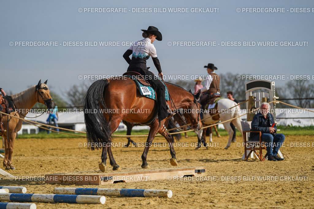 DSC01197 | Pferdegrafie