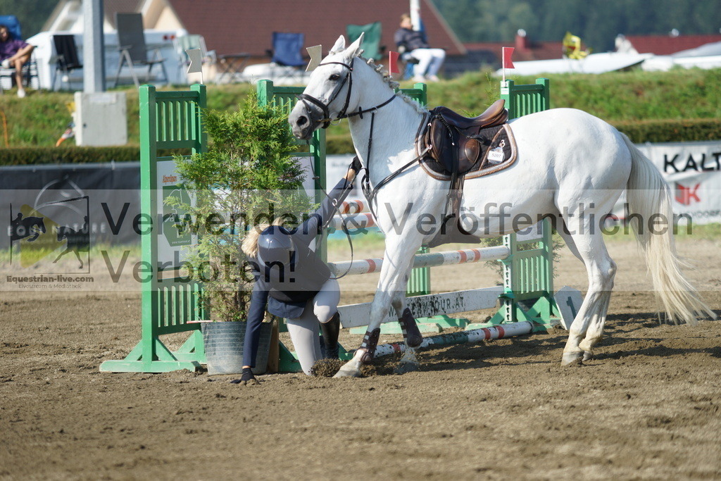 DSC02826 | equestrian-live-com