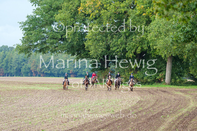 Jagd Perdoel 26 Sony-03984_MarinaHewig | Fotografie, FotoArt, PferdesportArt, Pferdesportfotografie, Landschaftsfotografie, Reisefotografie, Reise, Pferde - Realisiert mit Pictrs.com