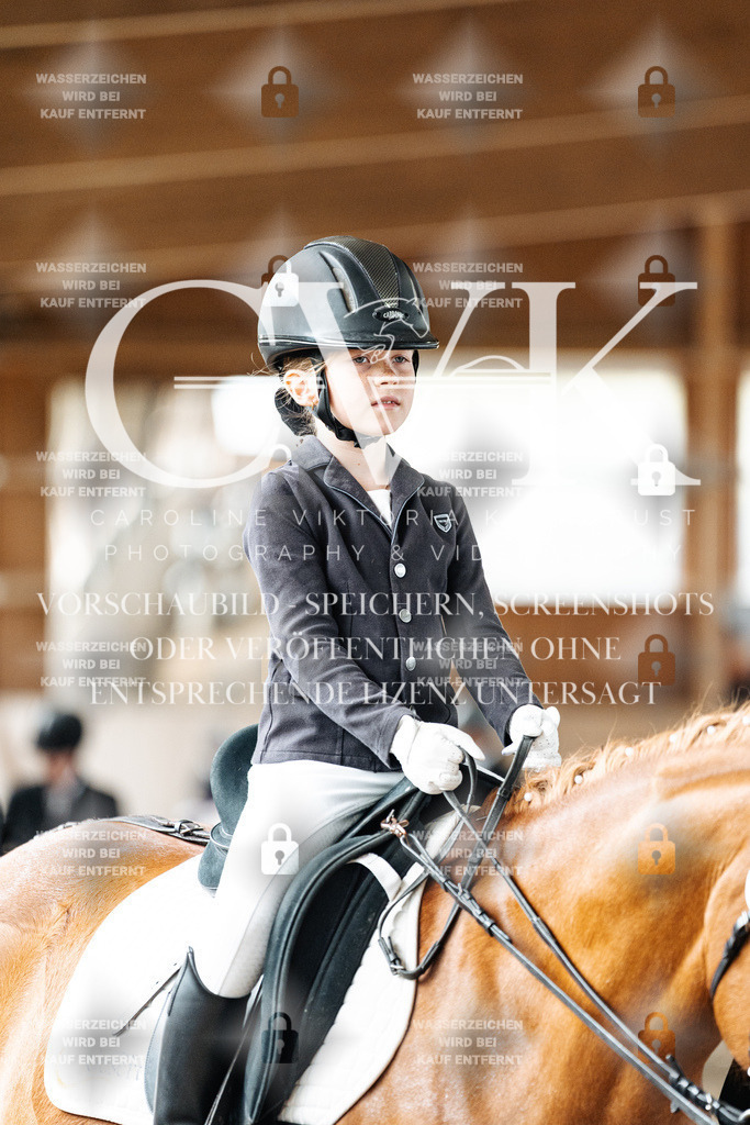 CK902033 | Turnierfotografie Pferdefotografie Trier Rheinland-Pfalz Pferdesport Reitsport Tierfotografie Sportfotografie Pferdevideo Pferdevideografie Equestrianvideography equestrianphotography  - Realized with Pictrs.com