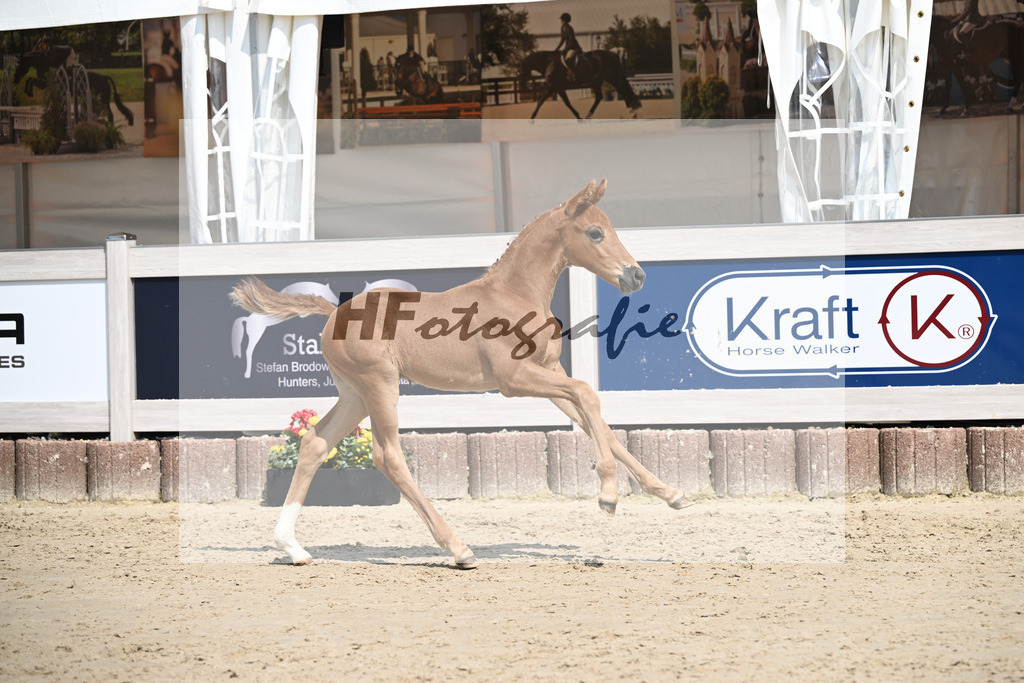 Va Bene x Savoy_HF_Groll_12250375 | hf-fotografie - Realisiert mit Pictrs.com
