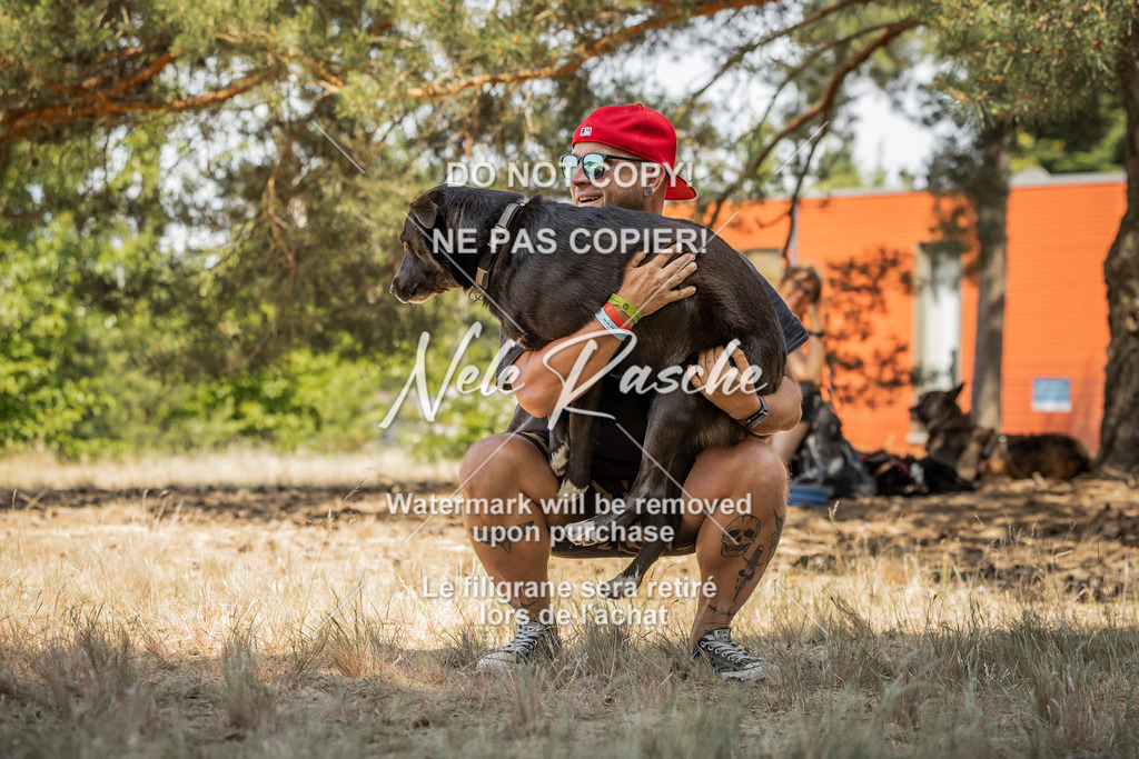 nelerasche_soDD3_101 | nelerasche