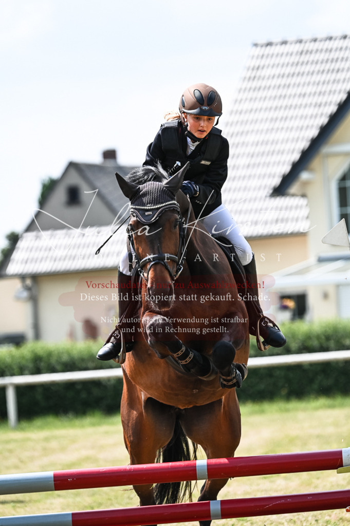 DSC_9256 | Pferde- und Turnierfotografie in Westsachsen. Pferdeportraits, Auftragszeichnungen und intuitive Kunst.
