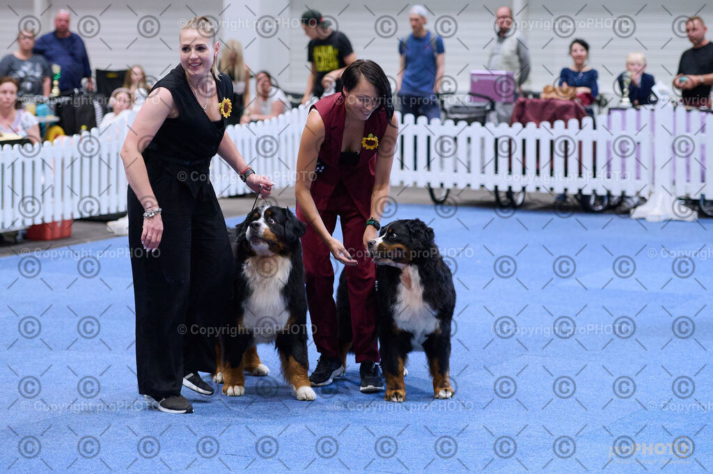 202406_ÖKV-IHA-Tulln24_DSC_3751 | proPHOTO - Realisiert mit Pictrs.com