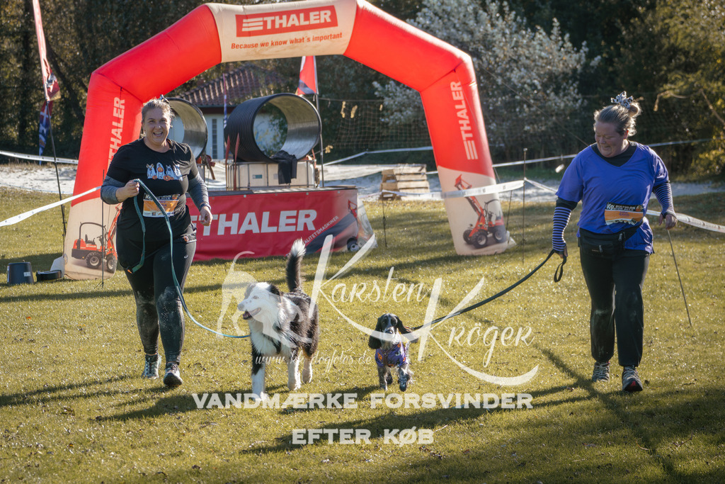 1201_ZZ94236 | kk-dogfotos