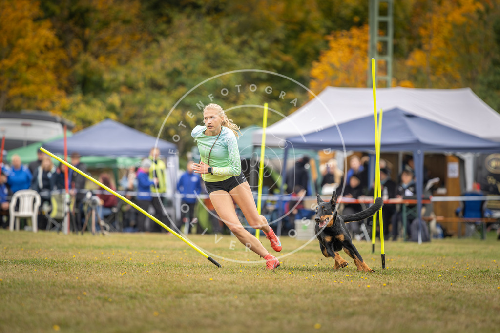 Pfotenfotografie_DV3A4147 | Hundefotografie, Tierfotograf, Pfotenfotografie, Fotoshooting Hund, Hunde Portrait, Hundesport, Hundeportraits, Heideshooting, Hunde, Sportfotograf, Hundefotograf, Turnierhundsport, THS,  - Realisiert mit Pictrs.com