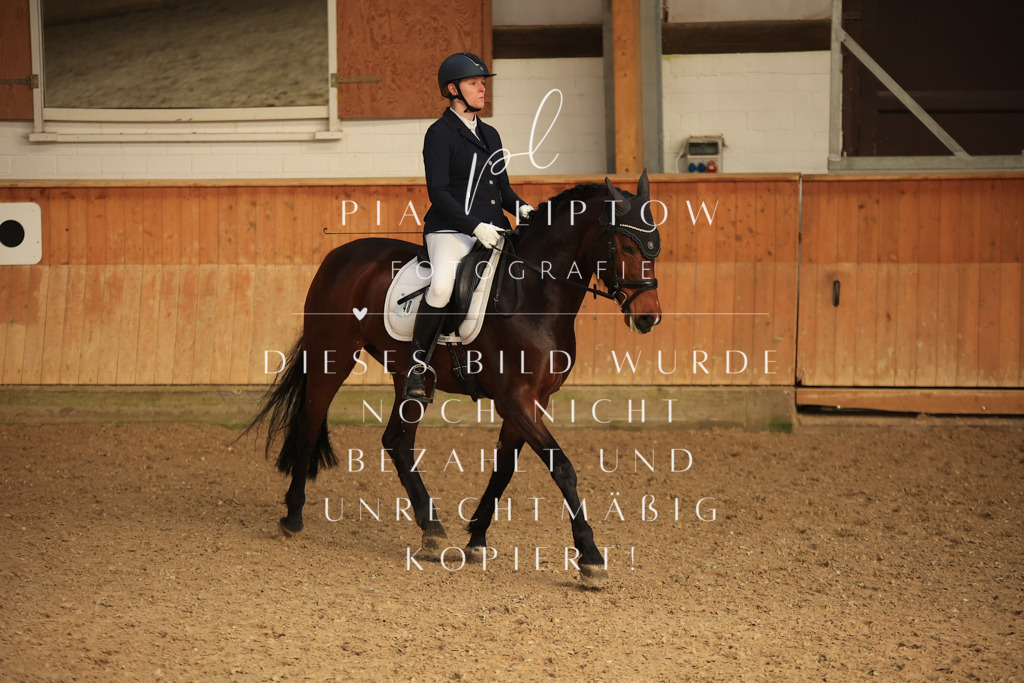 IMGT4377 | pl-fotografie