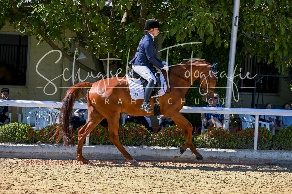 Schugtsche-Aluta25-50.Dressurpferdeprf.L-124 | Schugtsche Fotografie - Realisiert mit Pictrs.com