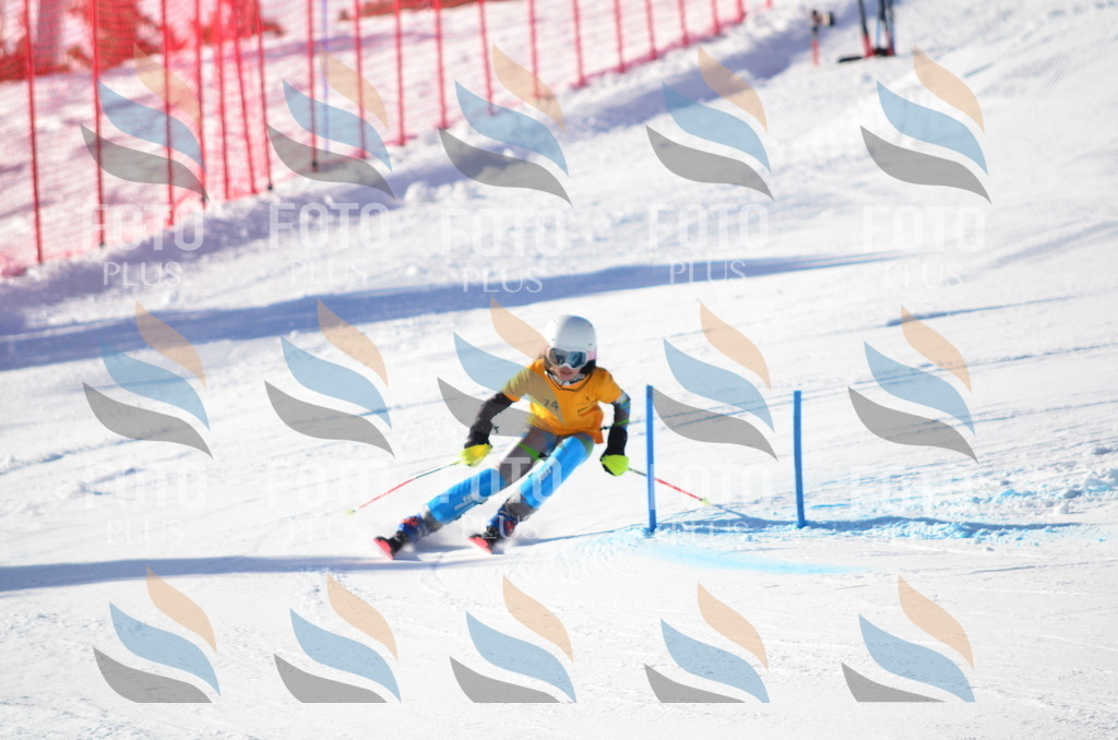 C5908 | holidayphoto