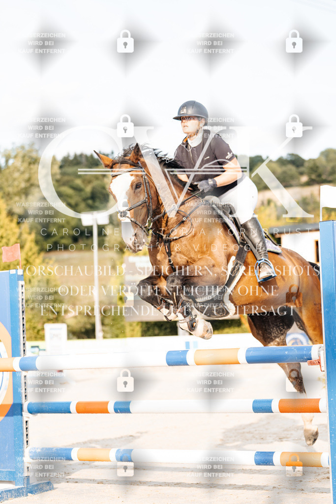 CK903238 | Turnierfotografie Pferdefotografie Trier Rheinland-Pfalz Pferdesport Reitsport Tierfotografie Sportfotografie Pferdevideo Pferdevideografie Equestrianvideography equestrianphotography  - Realisiert mit Pictrs.com