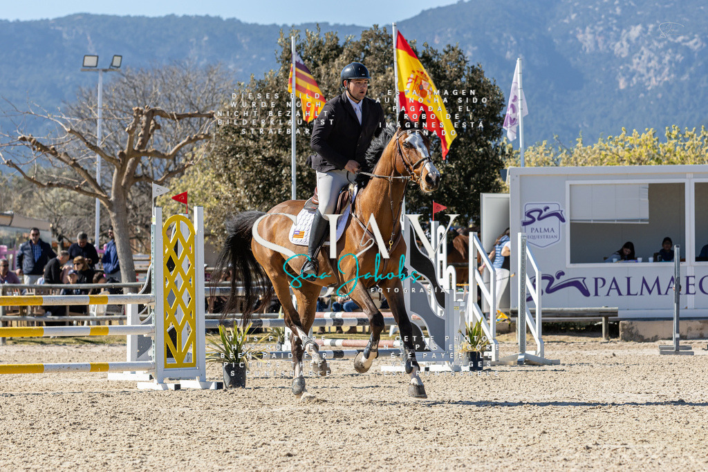 IMG_0639 | s-jay-photography - Realisiert mit Pictrs.com