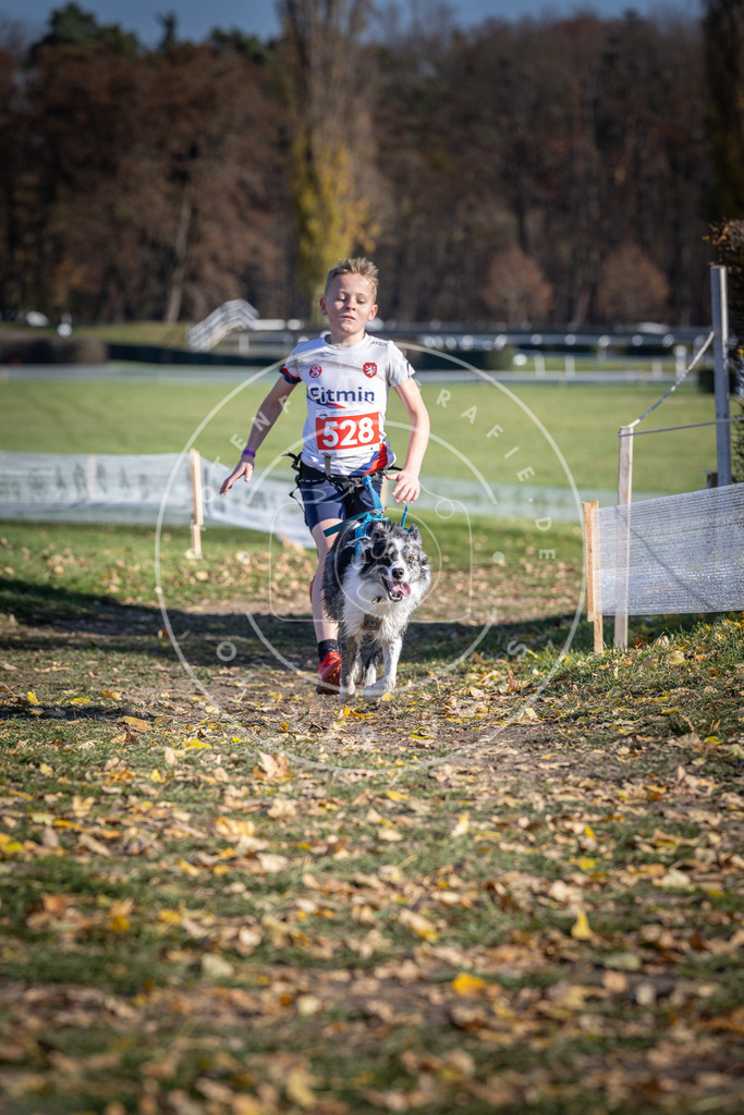 CaniXpix_DV3A8208 | Hundefotografie, Tierfotograf, Pfotenfotografie, Fotoshooting Hund, Hunde Portrait, Hundesport, Hundeportraits, Heideshooting, Hunde, Sportfotograf, Hundefotograf, Turnierhundsport, THS,  - Realisiert mit Pictrs.com
