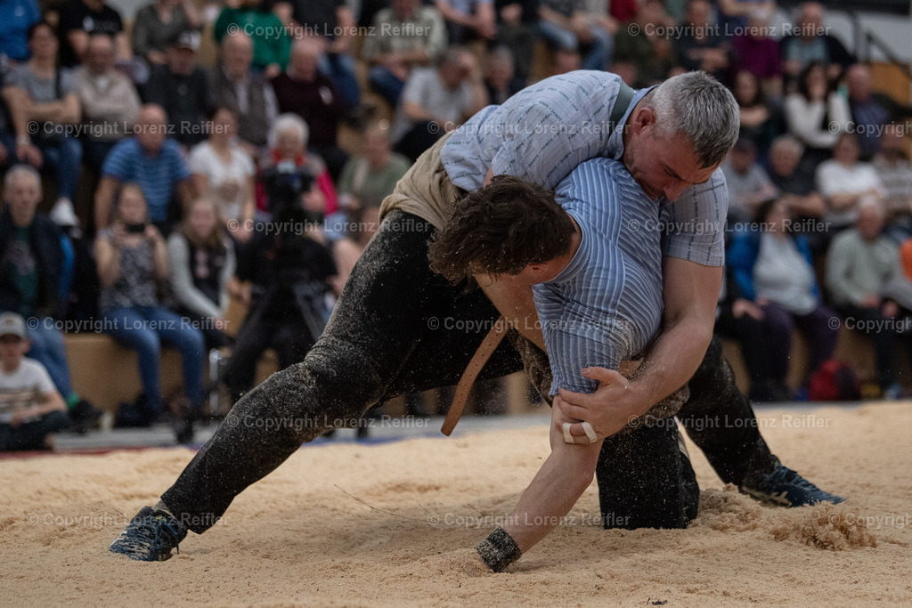 Schwingen -  Lichtmess 2024 | Gais, 3.2.24, Schwingen - Lichtmess.
