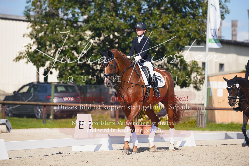 DSC_0034 | Pferde- und Turnierfotografie in Westsachsen. Pferdeportraits, Auftragszeichnungen und intuitive Kunst.