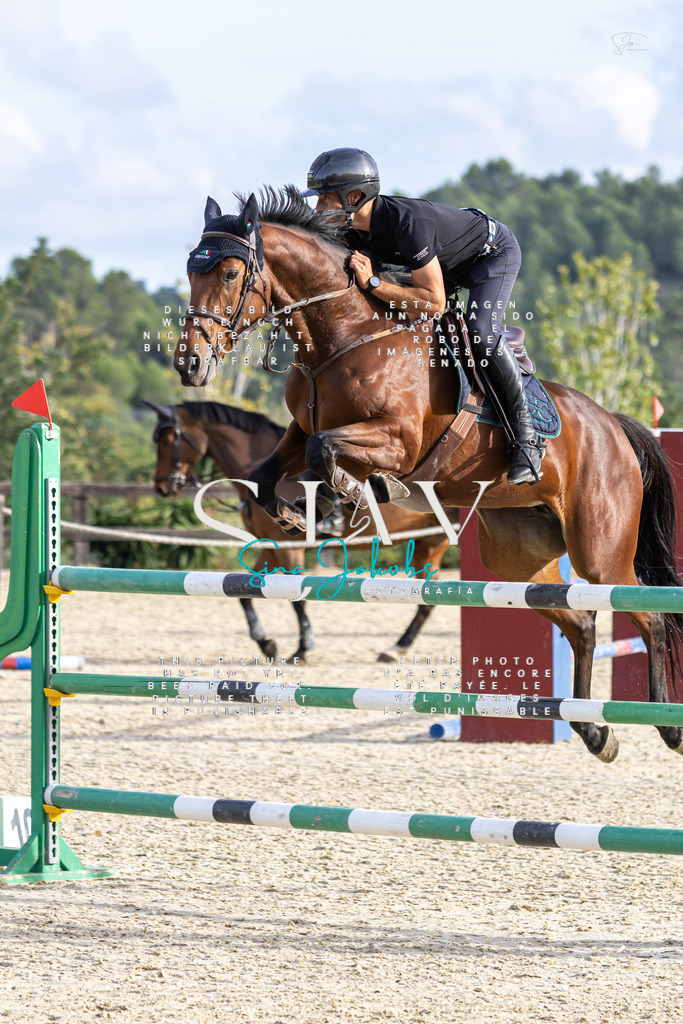 IMG_4377 | s-jay-photography - Realisiert mit Pictrs.com