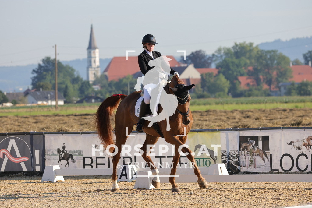 0P6A8391 | Willkommen bei Brunnmayr - Design & Fotografie – Ihrem Spezialisten für Reitturniere und Pferdeveranstaltungen in Oberösterreich, Salzburg und Bayern! Seit über 17 Jahren sind wir leidenschaftlich dabei.