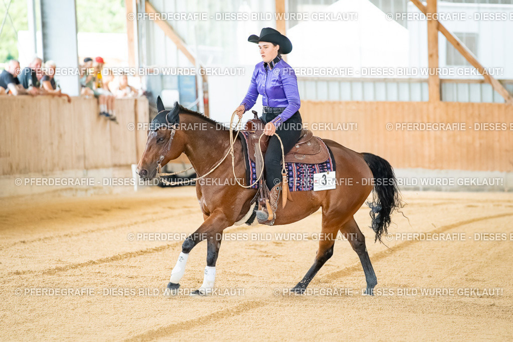 DSC07727 | Pferdegrafie